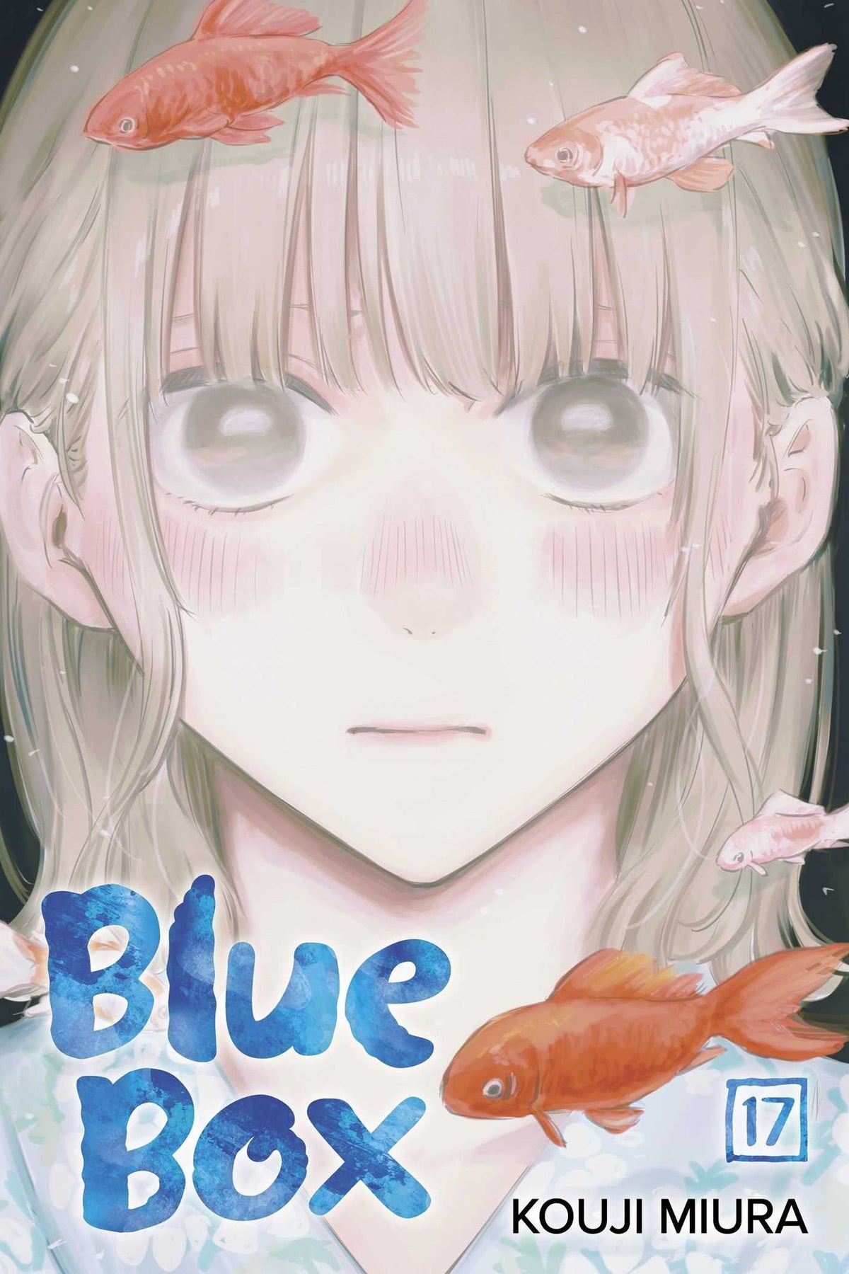 BLUE BOX, VOL. 17