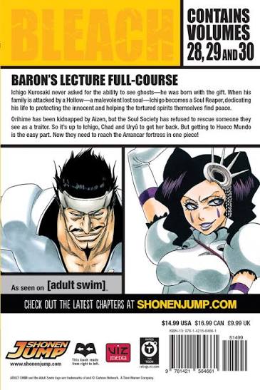 Bleach (3-in-1 Edition), Vol. 10: Includes vols. 28, 29 & 30